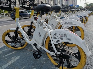 中路股份连续十年扣非净利润为负 传统自行车业路在何方？