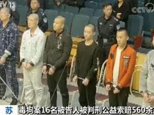 特大毒狗案16人被判刑！毒狗针几秒钟可致成年人丧命