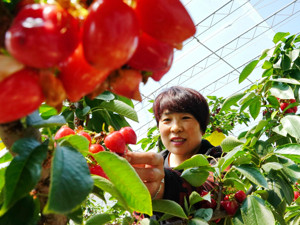 商务预报：上周食用农产品和生产资料价格均小幅上涨