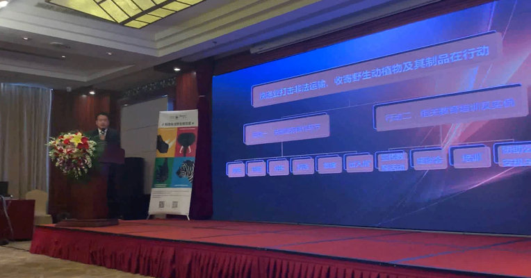 视频丨丁洪涛：打击非法运输、收寄野生动植物及其制品的两个行动