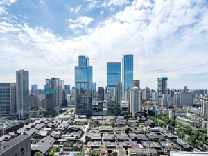 对标国际提升营商环境 成都锦江区出台国际化营商环境评价指标体系