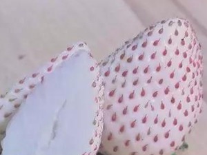 一颗草莓卖到8块钱！凭啥？