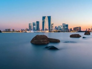 百亿土拍频现、买房还需托关系？房价连涨11个月后，这个城市终于出手了