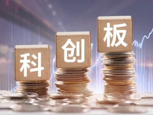 科创板首现"中止审核"企业，原因曝光！