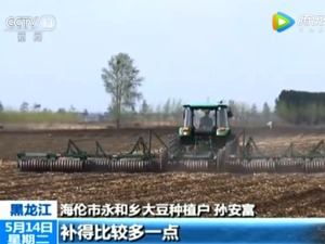 每亩补贴340元！各地农民响应大豆振兴计划 今年种植面积大增 