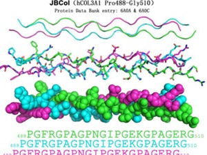 锦波生物功能蛋白迎科研新突破 产业基地落户山西综改区