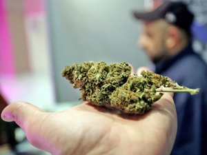 三涉工业大麻引深交所质疑  深大通“顶风”再下一城 