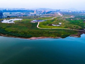 大湾区大学新动向，广深“出局”？