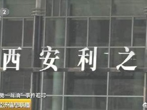 奔驰女司机维权处理结果公布：西安利之星被罚100万