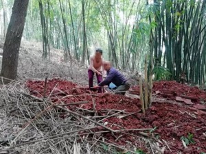 一把洛阳铲背后的盗墓江湖：大多小学文化，尔虞我诈秩序森严