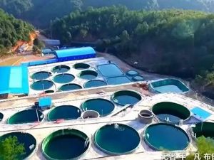 稀土，稀土！中国要对美打出这张"牌"？国家发改委最新回应，释放重要信号！