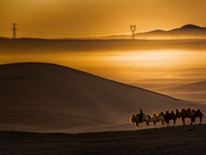 普京：中国是欧亚经济联盟的战略伙伴
