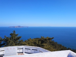 獐子岛回复问询函：虾夷扇贝底播区面积压缩，其他品类填补利润缺口