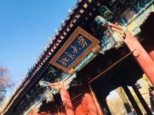 中国版高校“常青藤”毕业，他们去哪了？