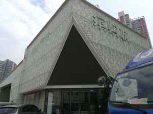 又现烂尾楼！ 缤购城停工三年后开发商被申请破产，大股东国通信托撇清责任