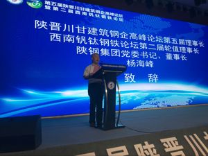 矿难打破供需平衡 铁矿石价格创五年新高，业内在担心什么？