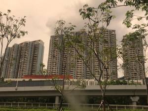 小镁一周地产播报:孙宏斌又逼乐视还钱，网友：喜欢买买买的孙老板这包袱卸的真难