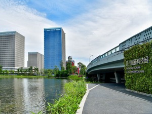 打造国际化营商环境 成都高新区提速“网上办”