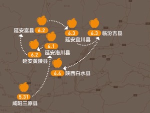 西线调查记录：套袋量较去年增逾七成！人工成本压力明显上升