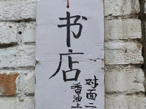 城墙根下的隐秘“小世界”……