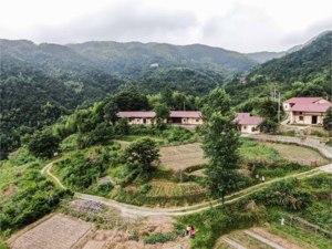 土地管理法修正案草案分组审议：建议完善宅基地退出机制 赋予使用权抵押权能