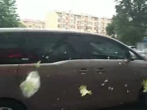 创新医疗内斗：接管医院不成，总裁被蛋袭，警方跨省抓人