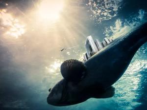 不顾国际舆论声讨，日本坚持“退群”，鲸鱼又将面临一场浩劫？