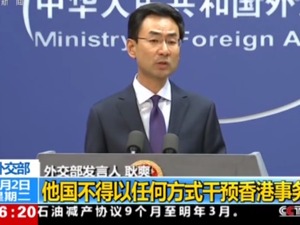 外交部：有关国家对香港指手画脚虚伪丑陋