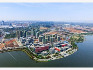 迈出开放新步伐！国务院加大向自贸区放权，再增加一批跨境电商试点城市