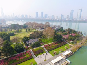 南京下半年首场土拍揽金240亿   溢价率走低土地市场现“凉意”