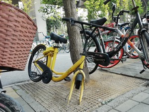 ofo济南未了局：管理团队无人留守 交警部门已着手清理