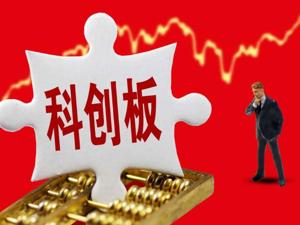 复旦张江：港股上市十七年 公司无实控人