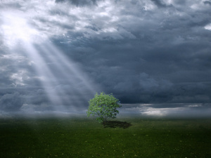 停牌900多天后*ST信威将复牌  15万股东忐忑不安，400亿市值何去何从？