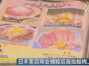 日本重启商业捕鲸后首批鲸肉上市，每公斤超百元！