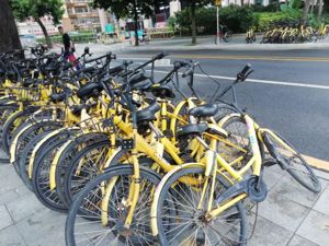 深圳ofo困局：人员流失较多 或正在进行大规模减量工作