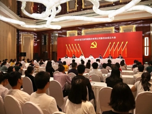 华谊兄弟成立党委 民营文娱乐公司加速党建动作