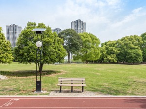 城市是不是越“绿”越好？