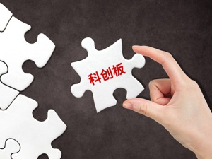 科创板公司巡礼系列一：科创板10家电子核心产业龙头get一下
