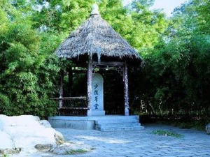 李舫｜成都的七张面孔
