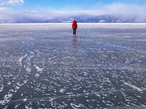 扛不住了？今年超200家房企宣布破产