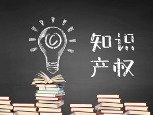 强化知识产权保护，多重政策信号密集释放！织密“安全网”  拟大幅提高侵权违法成本