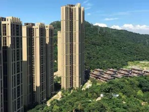 广州学区房市场   价格“友好”选择面大