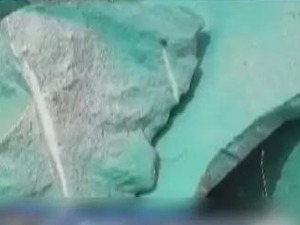 荒诞！为应付环保检查：竟给矿山刷绿漆！别把公众的智商按在地上摩擦！
