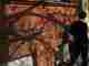 ____500145953.thumb_hs