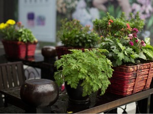 成都小店：城市生活美学窗口