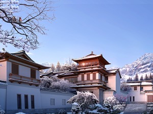 中国北方需要什么样的中式住宅？