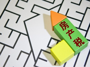 博鳌·镁刻| 华夏新供给经济学研究院首席经济学家贾康：叫房地产税还是房产税并不重要