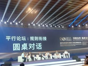 业内大咖谈粤港澳大湾区：规则对接应协调创新