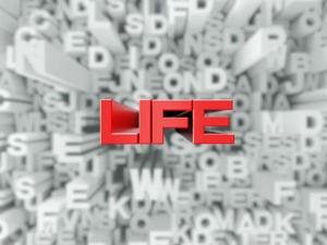调查|曾被称“东方美人”，如今深陷停产风波，这家车企开始把目光投向这类车型