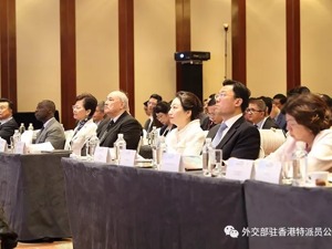 外交部驻港公署特派员谢锋：拿《中英联合声明》说事、插手香港事务是完全错误的